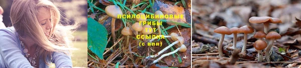 дистиллят марихуана Аркадак