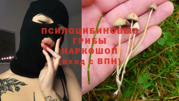 молекула духа Армянск