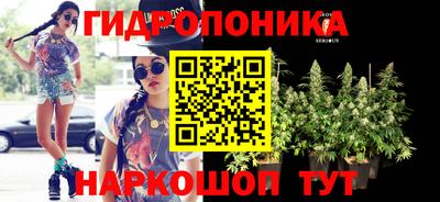 крисы Мариинск
